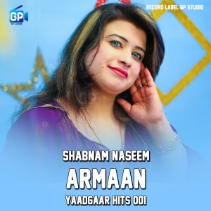 Listen to Armaan Yaadgaar Hits song with lyrics from Shabnam Naseem