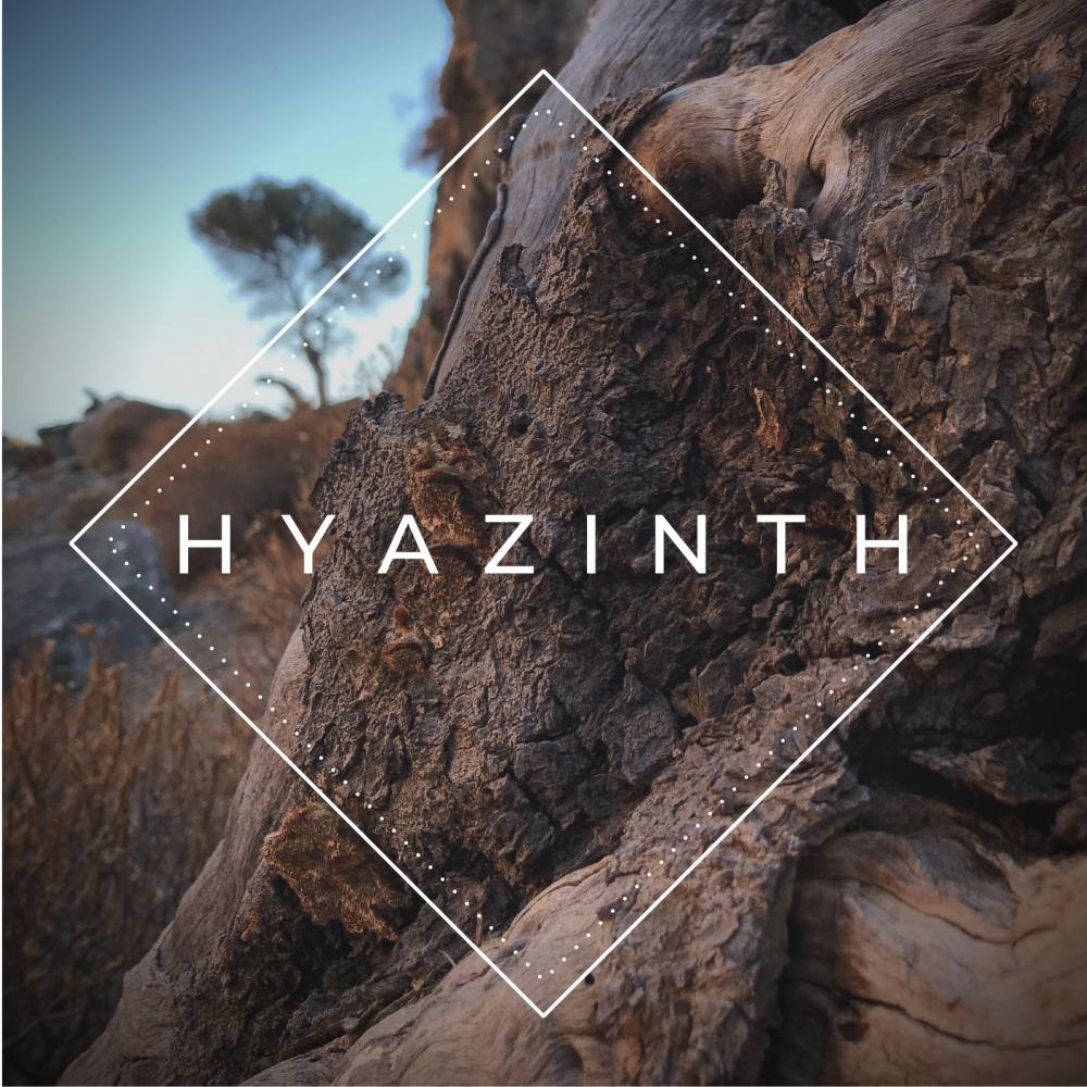 Hyazinth