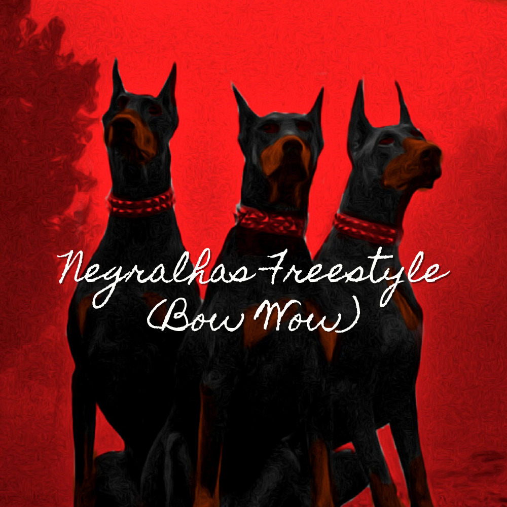 Negralhas Freestyle (Bow Wow) (Explicit)