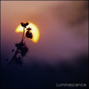 Album Luminescence from 