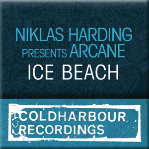 ดาวน์โหลดและฟังเพลง Ice Beach (Brandenburg Tech Remix) พร้อมเนื้อเพลงจาก Niklas Harding