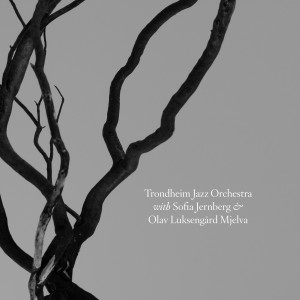 ดาวน์โหลดและฟังเพลง Fuggelen พร้อมเนื้อเพลงจาก Trondheim Jazz Orchestra