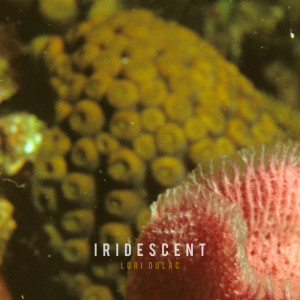 ดาวน์โหลดและฟังเพลง Iridescent พร้อมเนื้อเพลงจาก Lori Dulac
