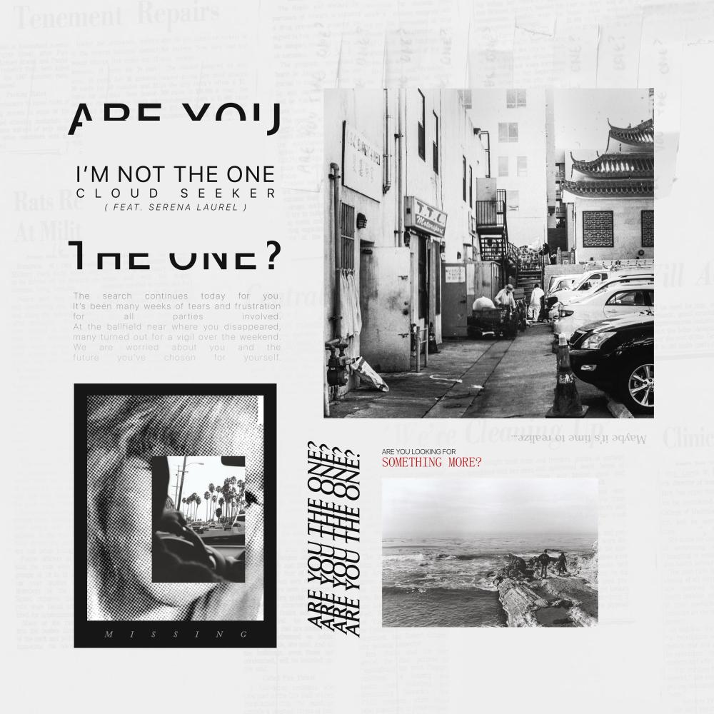 I'm Not the One (feat. Serena Laurel)