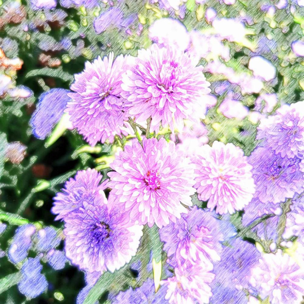 Under The Blue Color