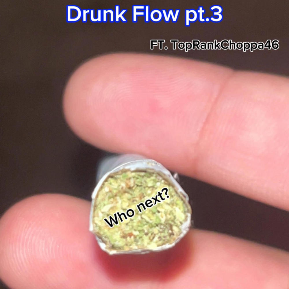 Drunk Flow Pt. 3 (feat. TopRankChoppa46) (Explicit)