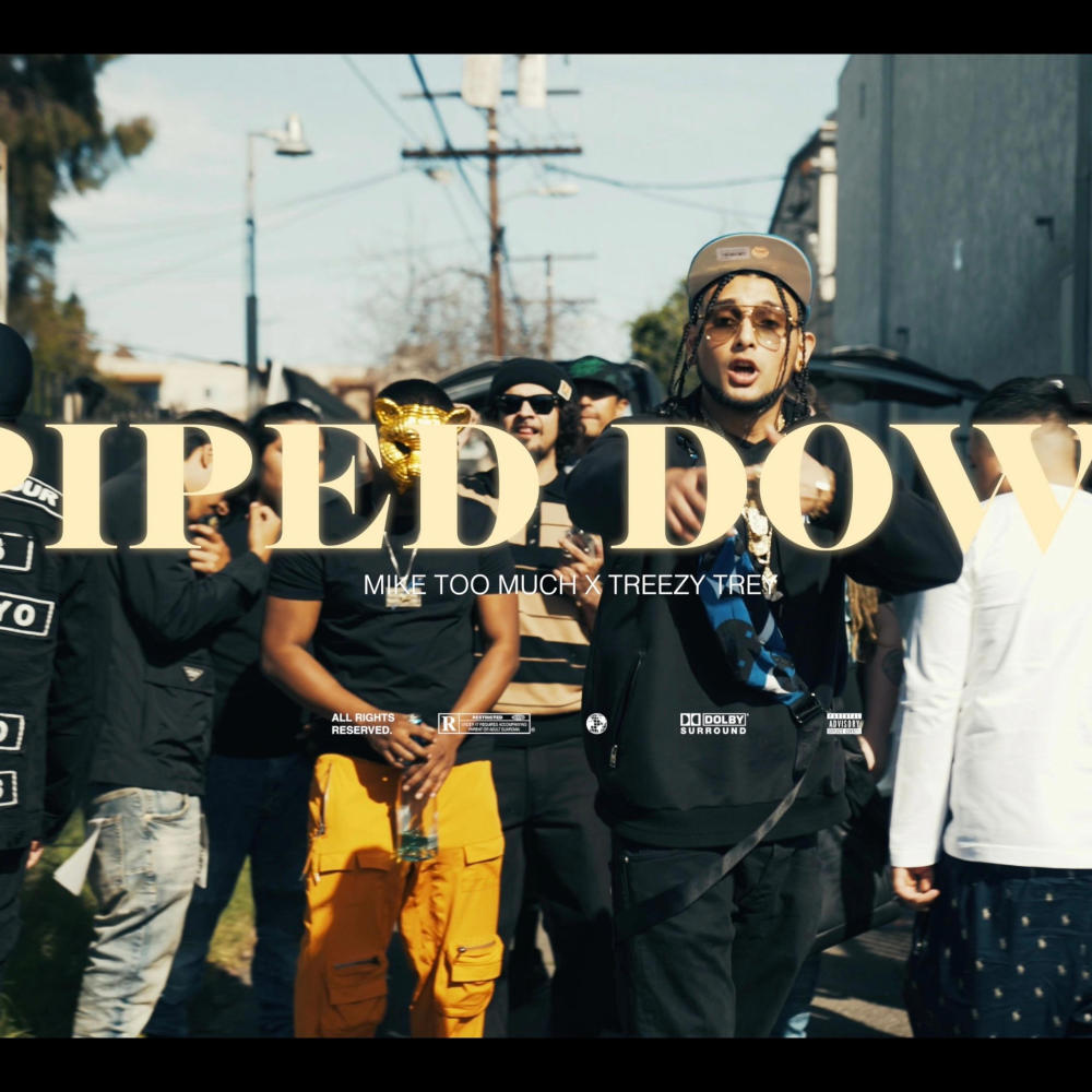 Piped Down (feat. Treezy Trey) (Explicit)