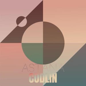 Various的专辑Astana Codlin