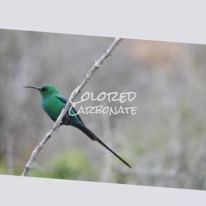 Album Colored Carbonate oleh Various Artists