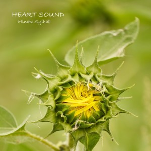 Album Heart Sound from Minato Syihab