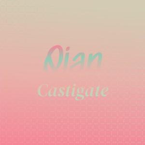 Various Artists的專輯Qian Castigate