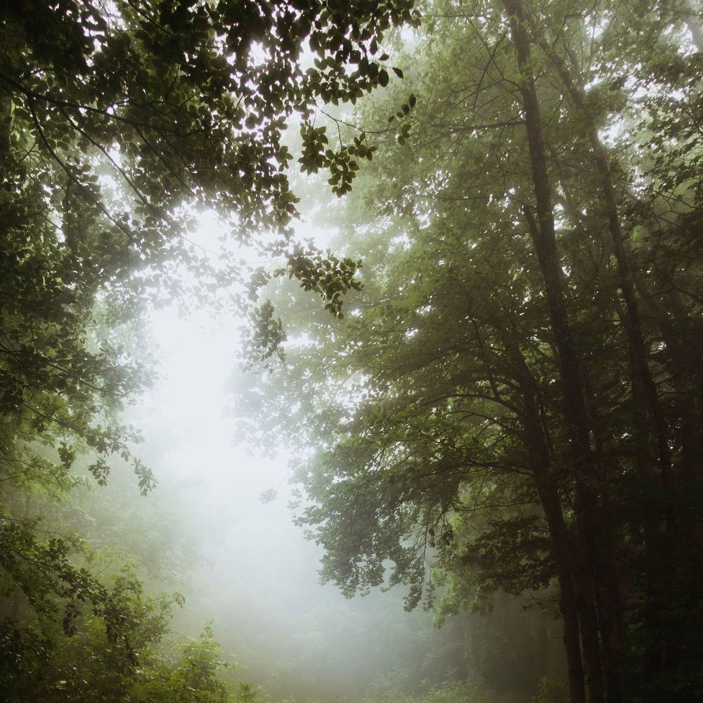 Overcast Sunday