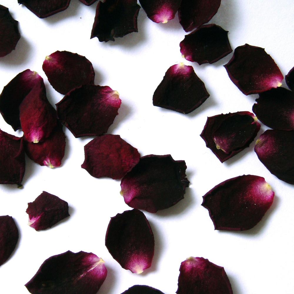 Counting Petals 