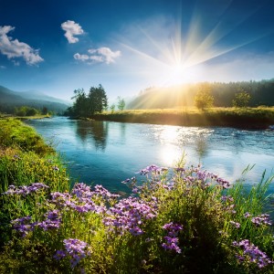 ดาวน์โหลดและฟังเพลง The Essence Of Silence Within พร้อมเนื้อเพลงจาก Meditation Music Club Ambience