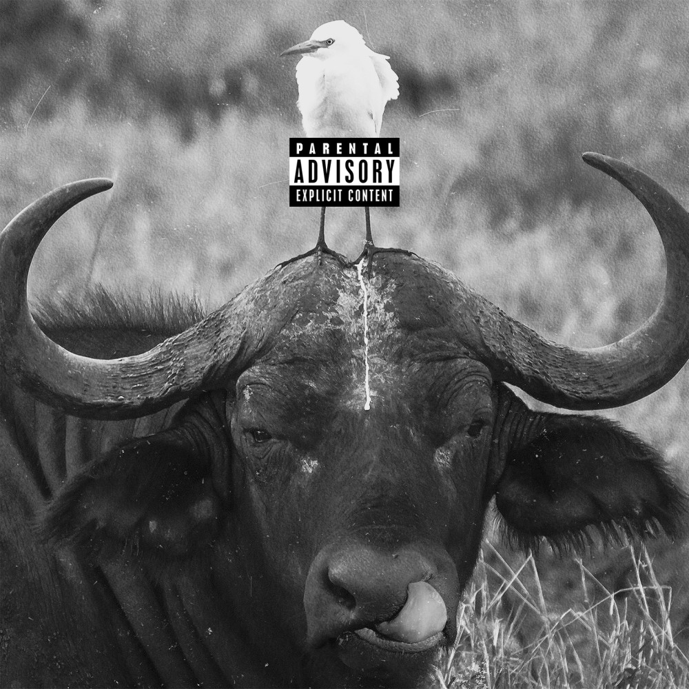 Buffalo (Explicit)