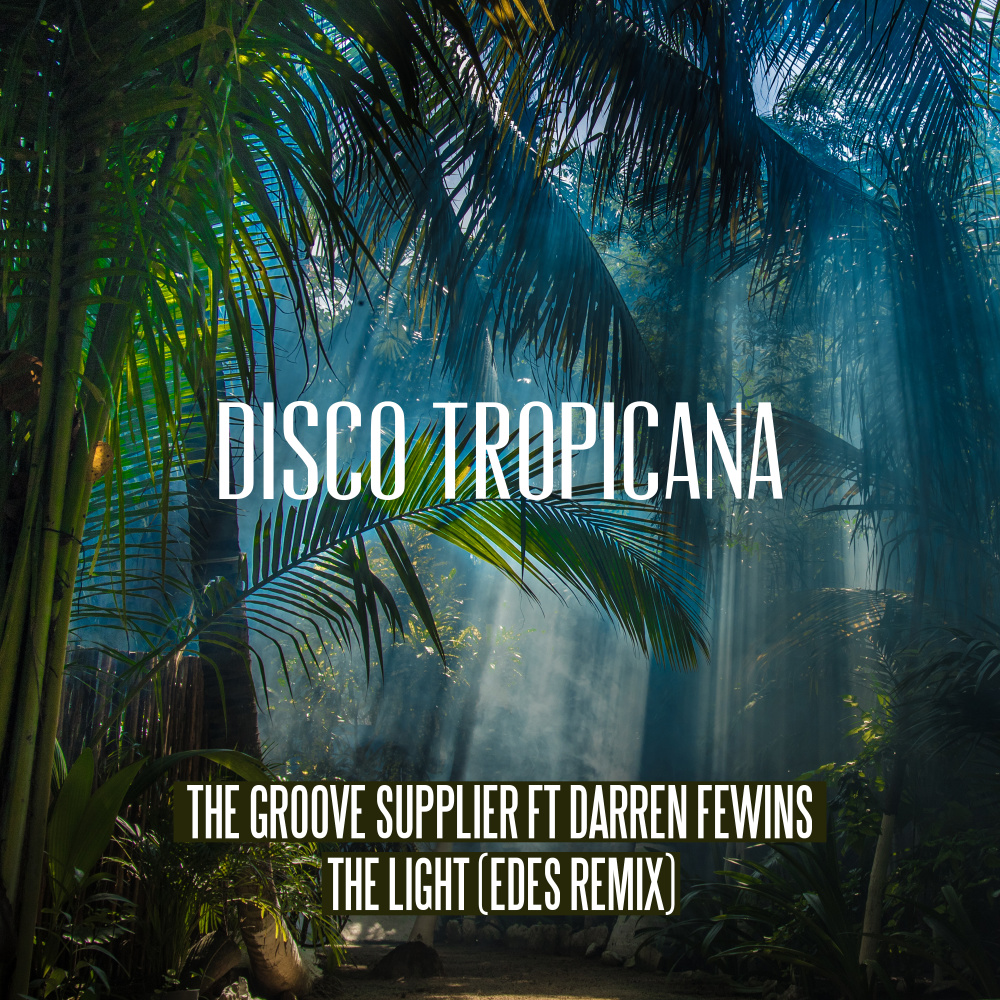 The Light(feat. Darren Fewins)