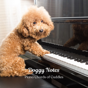 Album Doggy Notes: Piano Chords of Cuddles from Sad Piano Music Collective