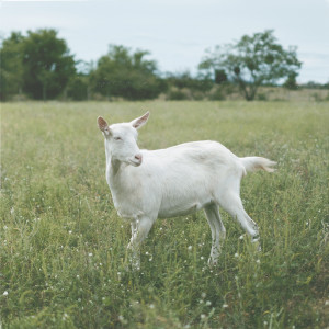 Dengarkan Könnycseppek lagu dari AKC Misi dengan lirik