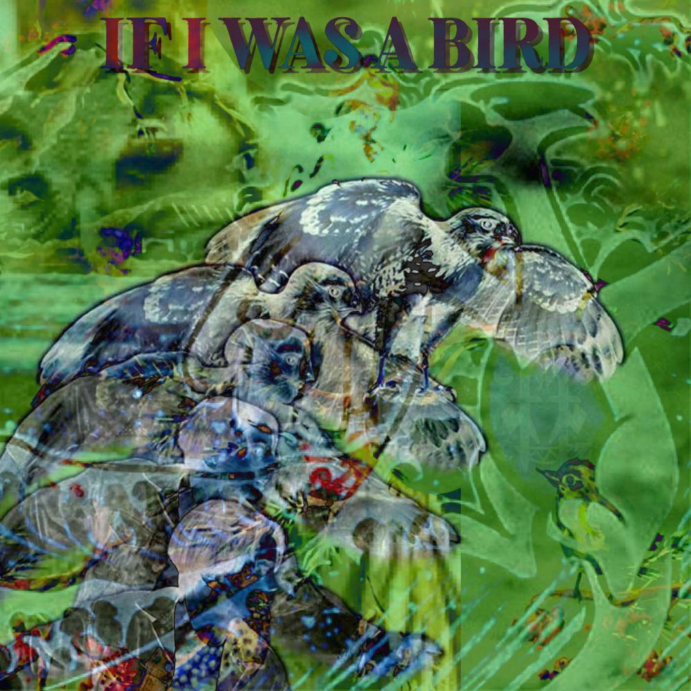 If I Was A Bird (Explicit)