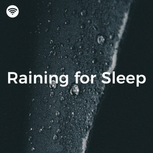 อัลบัม Raining for Sleep (Cozy Calming Nocturnal Rain) ศิลปิน Milo Heart