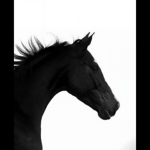 Listen to Shots (0.8x) song with lyrics from 超燃（0.8x）