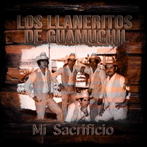 收聽Los LLaneritos De Guamuchil的Cómo Me Has Pagado Mal歌詞歌曲