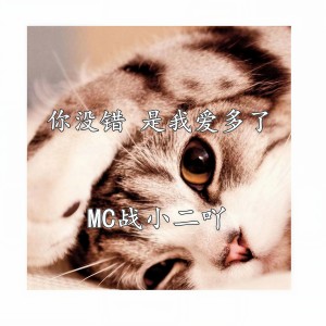 Dengarkan lagu 忘不掉的是你 nyanyian MC战小二吖 dengan lirik