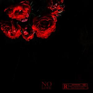 NO LOVE (Explicit)