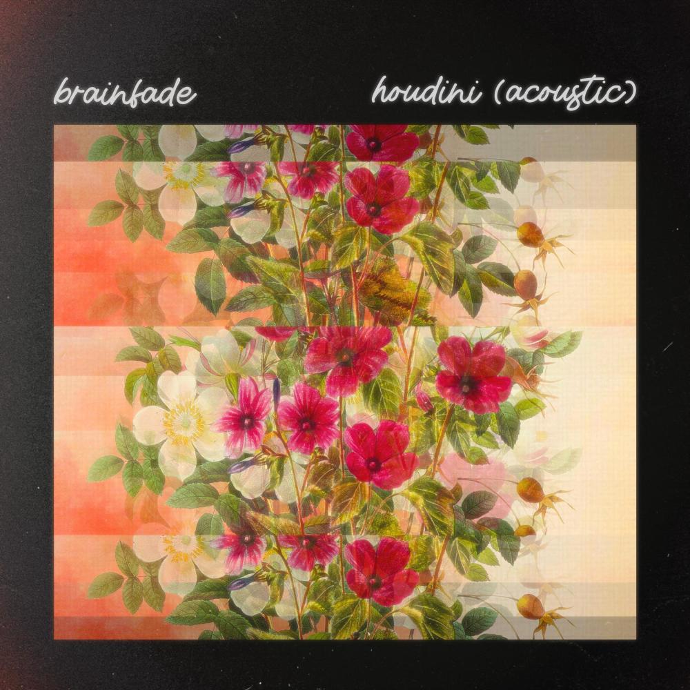 Houdini (Acoustic)