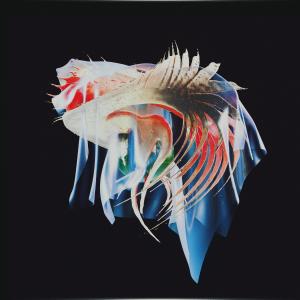 收聽Familiar Faces的Pierce the Veil歌詞歌曲