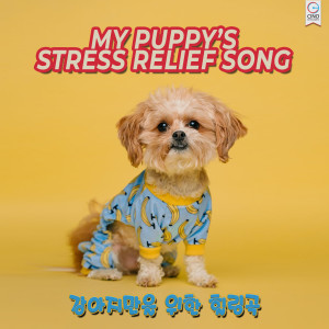 Cino的专辑My Puppy’s Stress Relief Song Vol.1