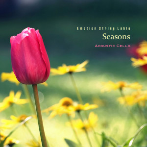 收聽Acoustic Cello Sweet Melody的Lovely Scene歌詞歌曲