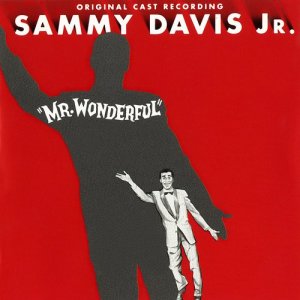 Various Artists的專輯Mr. Wonderful (Original Cast Recording)