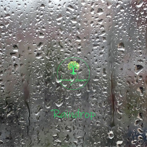 ดาวน์โหลดและฟังเพลง Raindrop พร้อมเนื้อเพลงจาก Harmony Dreams