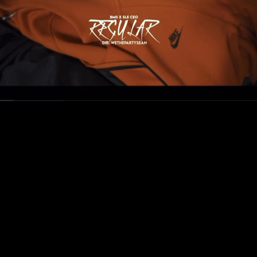 Regular (feat. SLE CEO) (Explicit)