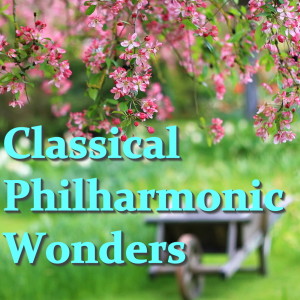 Listen to Concerto for Organ, No 2: I song with lyrics from Scandinavian Philharmonic Orchestra