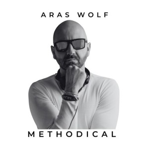 Album Methodical from Aras Wolf