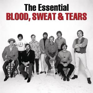 ดาวน์โหลดและฟังเพลง Inner Crisis พร้อมเนื้อเพลงจาก Blood, Sweat & Tears