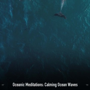 Album !!!!" Oceanic Meditations: Calming Ocean Waves "!!!! from ohm waves