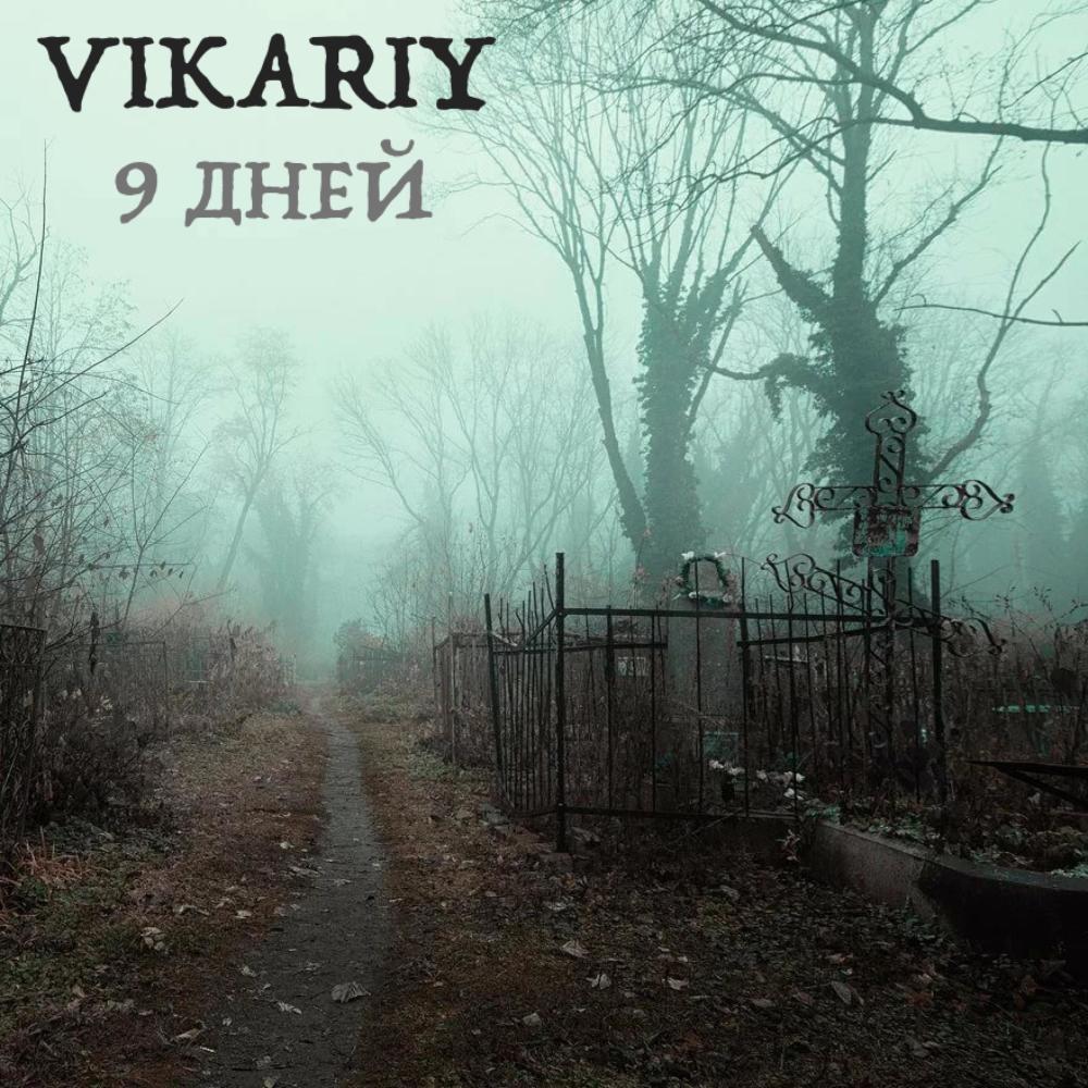 9 дней