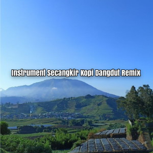 收聽Noobeer Remixer的Instrument Secangkir Kopi Dangdut (Remix)歌詞歌曲