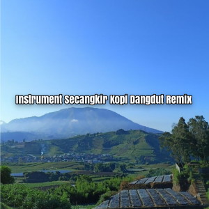 Album Instrument Secangkir Kopi Dangdut (Remix) from Noobeer Remixer