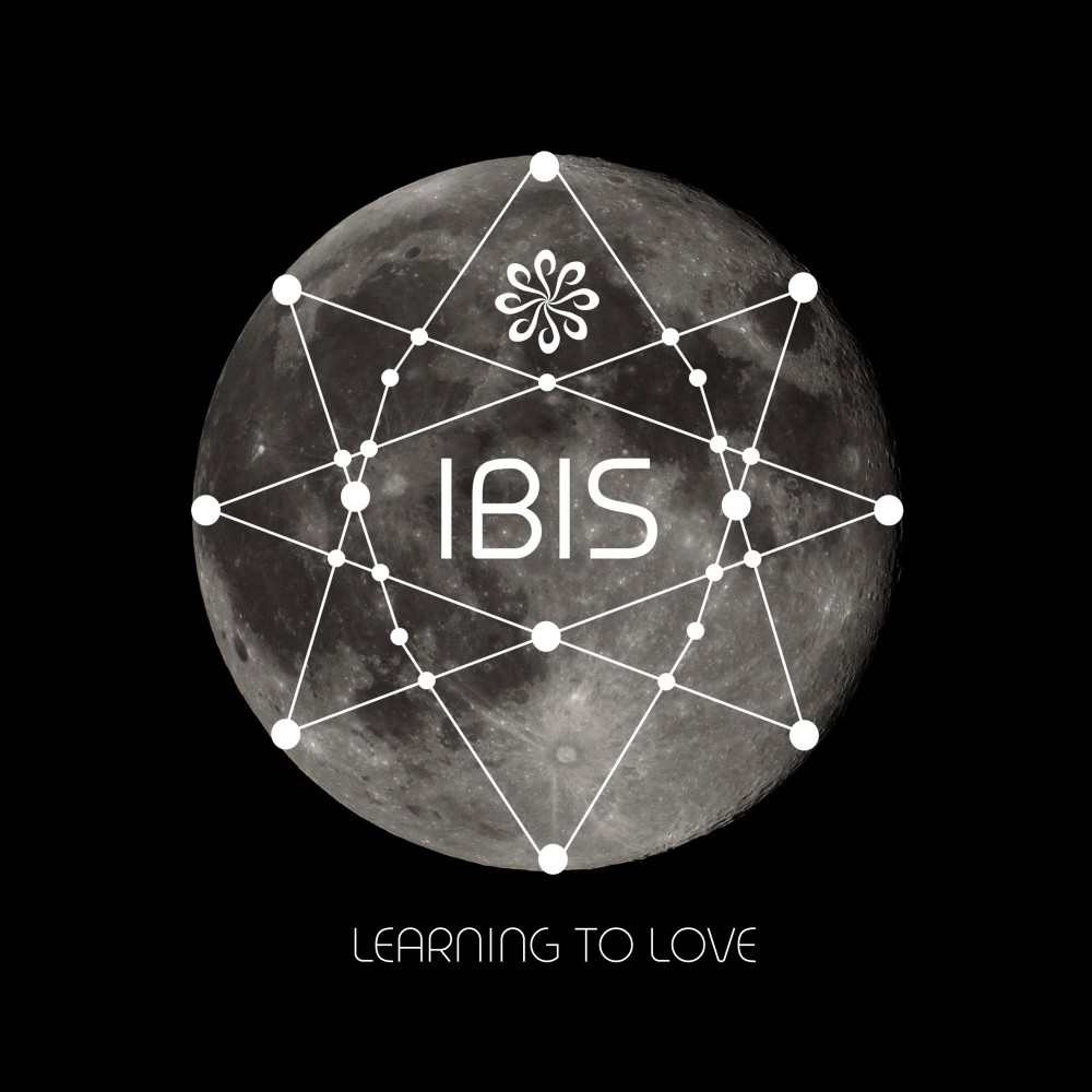 Learning to Love