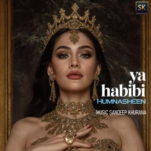 Sandeep Khurana的專輯Ya Habibi Humnasheen