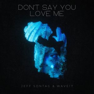 Listen to Don't Say You Love Me song with lyrics from Jeff Sontag