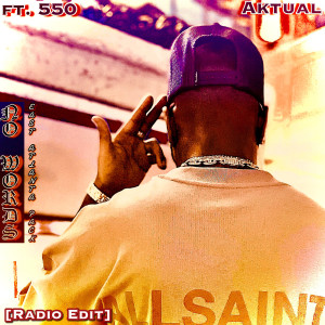 Listen to No Words (Radio Edit) song with lyrics from Aktual