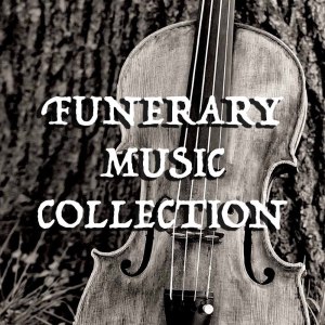 Listen to From Funerarius For Micheal Wise Esquire song with lyrics from The Guild of Funerary Violinists