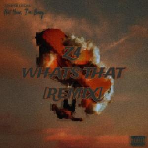 Album What's That Freestyle (Explicit) from Z4
