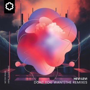 Don't You Want (The Remixes) dari Hevi Levi