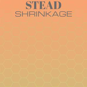 Various的专辑Stead Shrinkage